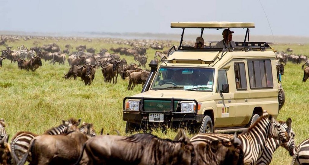 Maasai Mara, Kenya