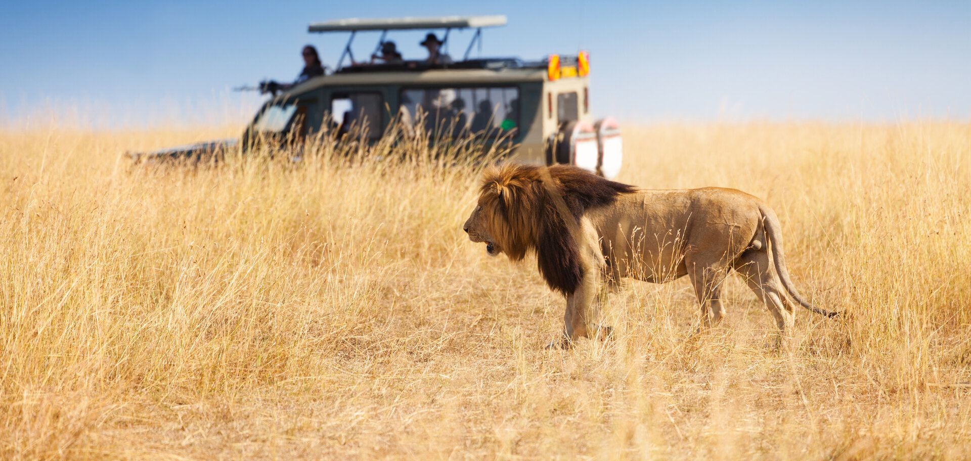 Explore the wonders of Nairobi National Park