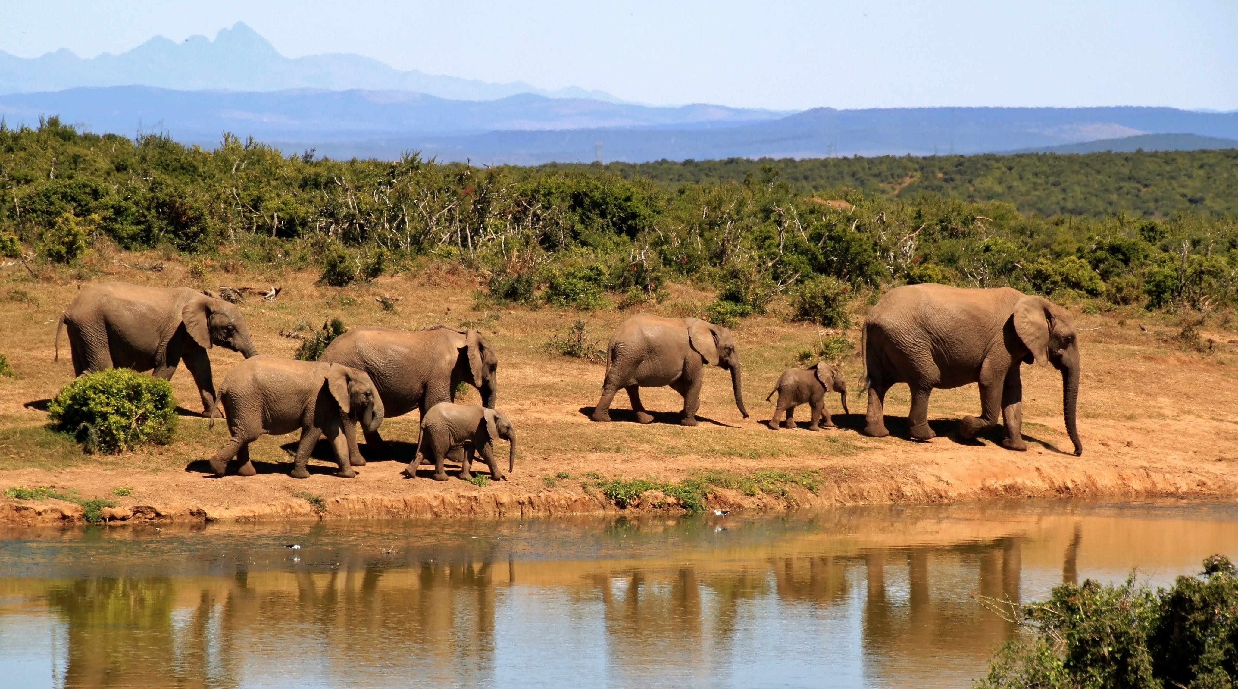 Tsavo West / East, Kenya